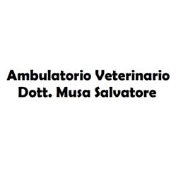 Ambulatorio Veterinario Dott. Salvatore Musa, San Vito dei Normanni orari di apertura