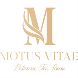 Motus Vitae, Telese Terme orari di apertura