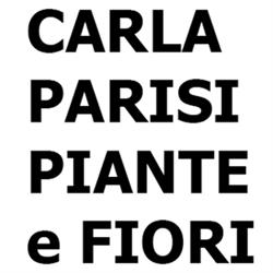 Carla Parisi Piante e Fiori, Agira orari di apertura