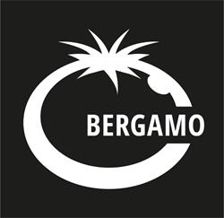 Blue Tomato Shop Bergamo, Orio al Serio orari di apertura