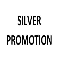 Silver Promotion, Olgiate Comasco orari di apertura