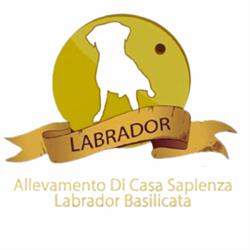 Allevamento Labrador e Golden di Casa Sapienza - Pensione per cani, Baragiano orari di apertura
