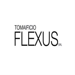 Flexus, Ponte a egola orari di apertura