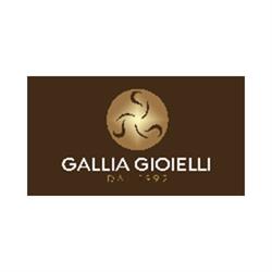 Gallia Gioielli, Pinerolo orari di apertura