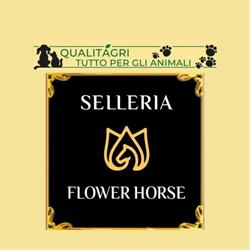 Qualitagri - Selleria Flower Horse, Noceto orari di apertura