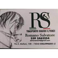Romano Trasporto Cavalli, Collepasso orari di apertura