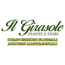 Il Girasole Piante e Fiori, Aci Bonaccorsi orari di apertura