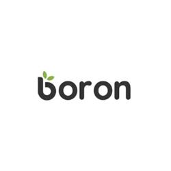 Area Verde di Boron Matteo, Megliadino San Vitale orari di apertura