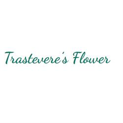Casa Vacanze Trastevere’S Flower, Roma orari di apertura