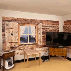 House Sistem, Lucca orari di apertura
