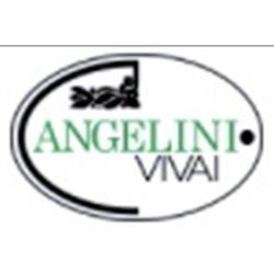 Vivai Angelini di Andrea Mattei, Arco orari di apertura