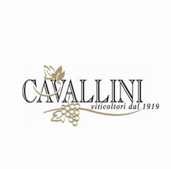 Azienda Agricola Cavallini 1919, Corvino San Quirico orari di apertura