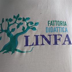 Fattoria Linfa, Pesaro orari di apertura