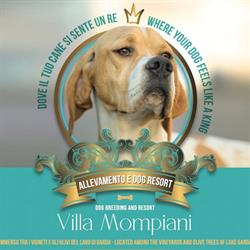 Villa Mompiani Dog Resort, Castelnuovo del Garda orari di apertura