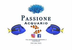 Passione Acquario di Wang Zhanfeng, Cadorago orari di apertura