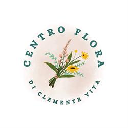 Centro Flora Di Clemente Vita - Fioraio Interflora Castelvetrano, orari di apertura