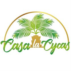 Casa La Cycas, Massa Lubrense orari di apertura