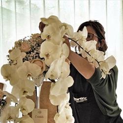 Giovanna Chirumbolo - Workhouse Flowers, Lamezia Terme orari di apertura