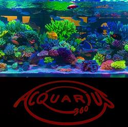 Acquarius360, Città Sant'Angelo orari di apertura