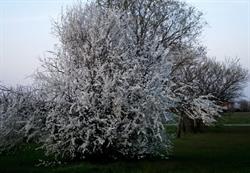 Agriturismo Rio Coviola, Reggio Emilia orari di apertura