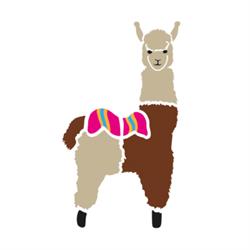Alpaca Firenze, orari di apertura