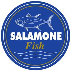 Salamone Fish Ingrosso e dettaglio ittico, Porto Empedocle orari di apertura