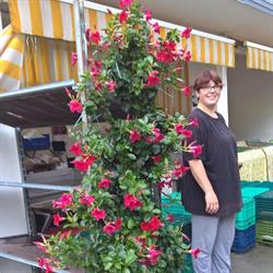 Azienda Agricola Demetra, Ronchi dei Legionari orari di apertura