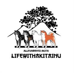 allevamento akita lifewithakitainu, Nola orari di apertura