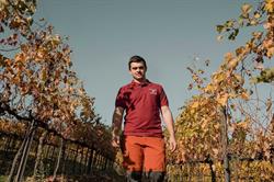 Azienda Agricola Fedrizzi Alessandro Valsamoggia, Castello Di Serravalle - Orari di apertura