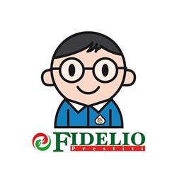 FIDELIO SERVIZI FINANZIARI SRL, Udine orari di apertura