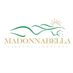 MadonnaBella Winery&Wine Shop Wine&Food Pairing, Siena orari di apertura