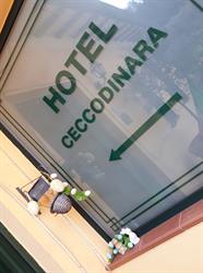Hotel Cecco di Nara, Massarosa orari di apertura
