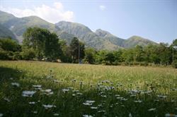 B&B Verde Selva, Aviano orari di apertura