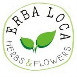 Erba Loca, Breda di Piave orari di apertura