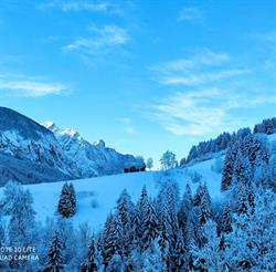 La camera degli abeti di Sonia Zampol, San Pietro di Cadore orari di apertura