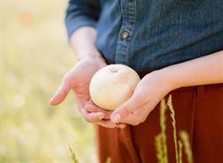 Società Agricola Clara, Cologna Veneta orari di apertura