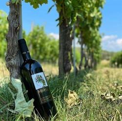 Brenca Cantina, Eboli orari di apertura