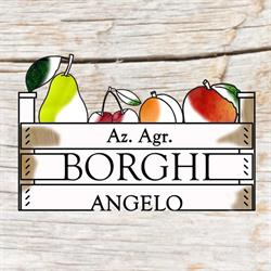 Azienda Agricola Borghi Angelo Valsamoggia, Crespellano - Orari di apertura