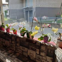 Monica Bar, Berbenno di Valtellina orari di apertura