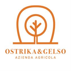 Ostrika&Gelso, Tambre orari di apertura
