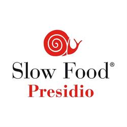 Calemone Azienda Agricola - Pomodoro Fiaschetto Torre Guaceto Presidio Slow Food, Serranova orari di apertura