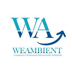 We Ambient, Cassino orari di apertura
