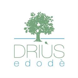 Driùs edodè - b&b affittacamere, Torraca orari di apertura