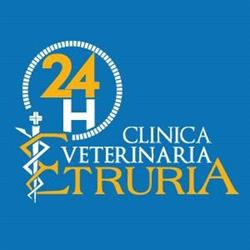 Clinica Veterinaria Etruria 24 H, Belverde orari di apertura
