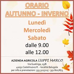 Azienda Agricola Luppi Marco, Castelnuovo Rangone orari di apertura
