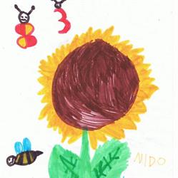 Nido accreditato e scuola dell'infanzia paritaria Il Girasole, Grosseto orari di apertura