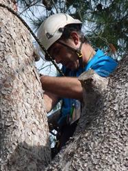 Treeworker, Genova orari di apertura