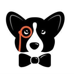 Family Dog Club - Asilo per cani diurno Roma, orari di apertura