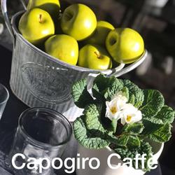 Capogiro Caffè, Casale Monferrato orari di apertura