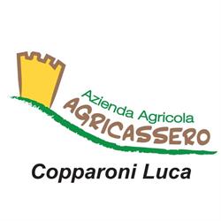 Azienda agricola Agricassero - punto vendita, Ancona orari di apertura